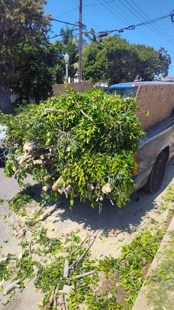 Local garden landscaping in Los Angeles, CA by Adan's Gardening Services