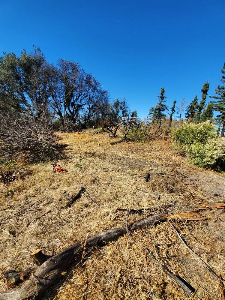 Top-rated outdoor landscaping in Santa Rosa, CA by Adan's Hauling