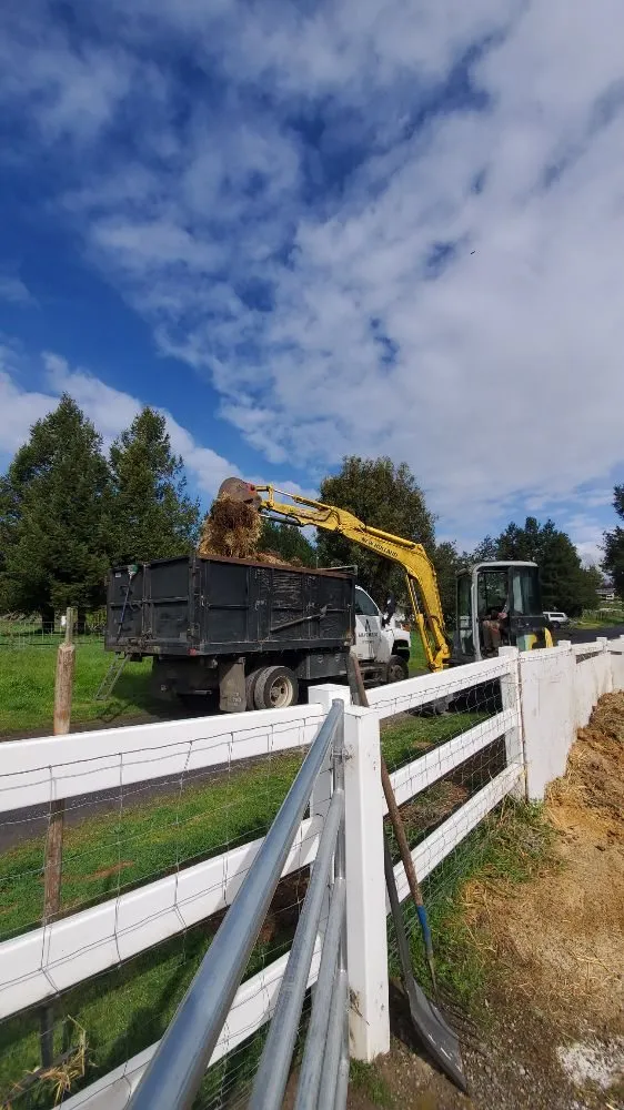 Affordable yard maintenance experts serving Santa Rosa, CA - Adan's Hauling