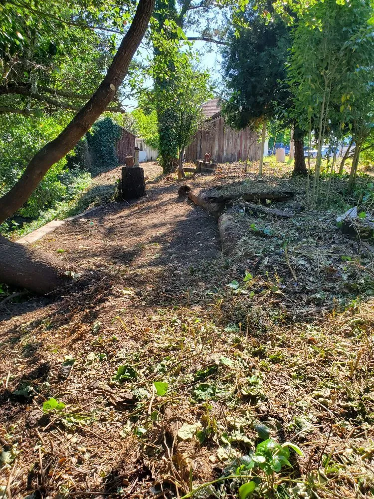 Custom lawn mowing service with custom design across Santa Rosa, CA - Adan's Hauling