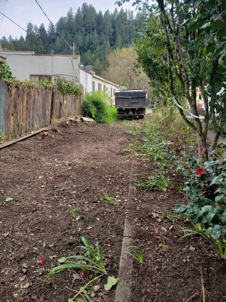 Professional landscape installation for year-round maintenance in Santa Rosa, CA by Adan's Hauling