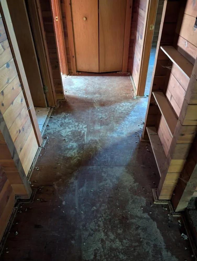 Expert residential landscaping in Santa Rosa, CA - Adan's Hauling