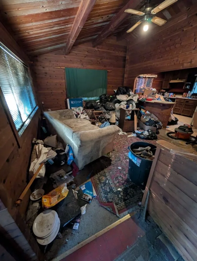 Affordable landscaping services in Santa Rosa, CA - Adan's Hauling