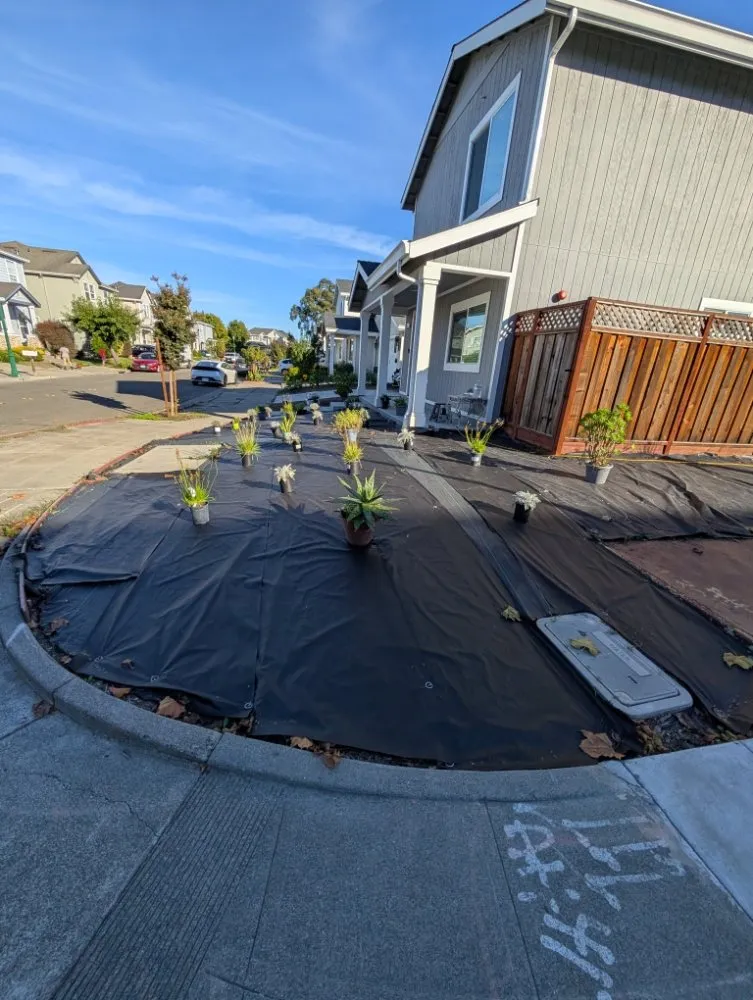 Local residential landscaping for year-round maintenance across Santa Rosa, CA - Adan's Hauling