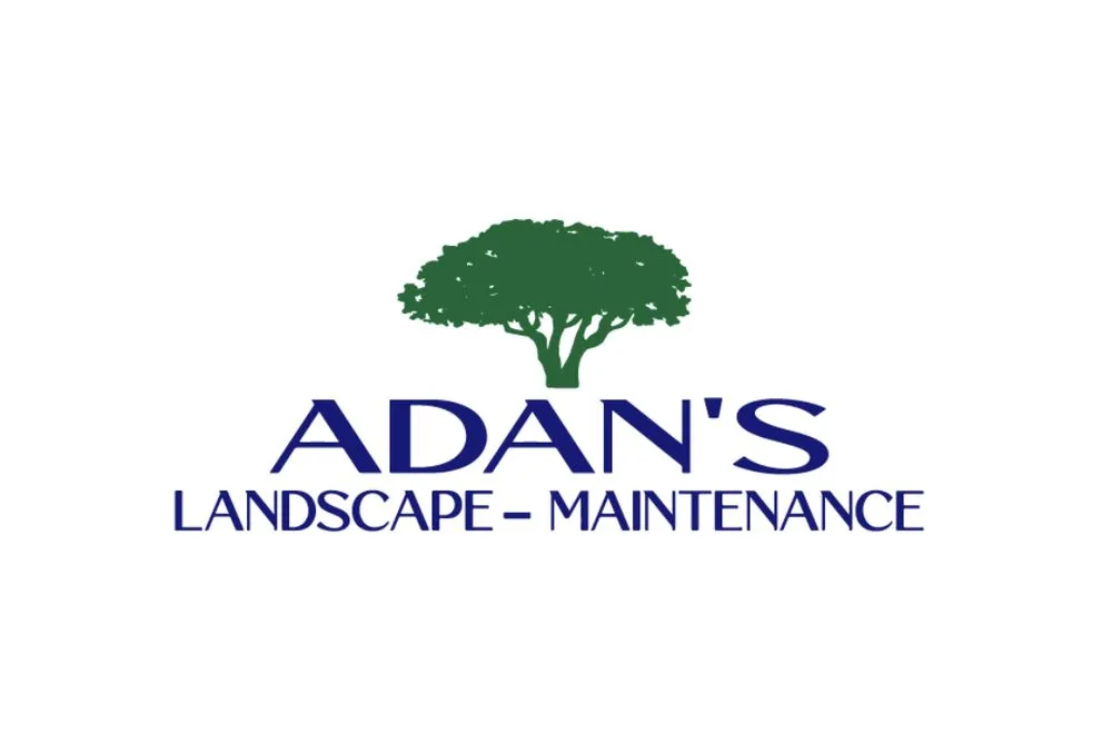 Custom yard maintenance for year-round maintenance in Salinas, CA by Adan’s Landscape Maintenance