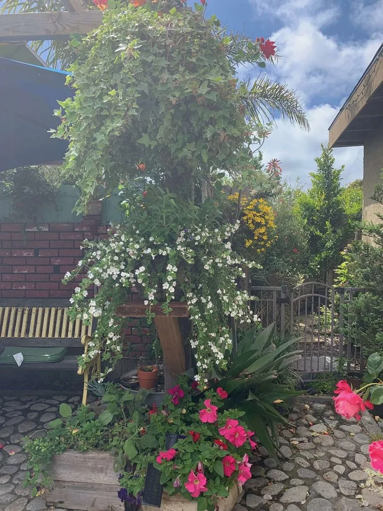 Trusted lawn mowing service in Salinas, CA by Adan’s Landscape Maintenance