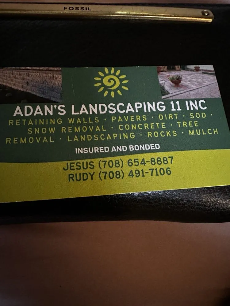 Expert landscaping services for beautiful yards across Homewood, IL - Adans Landscaping 11