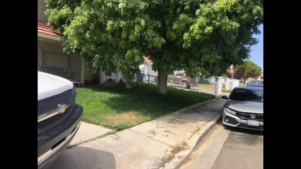 Professional yard cleanup service for residential properties across Santa Clarita, CA - Adan’s Landscaping Services