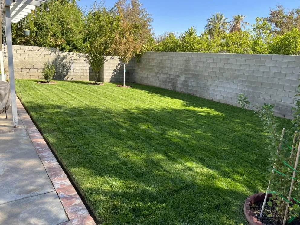 Expert landscape installation in Santa Clarita, CA - Adan’s Landscaping Services