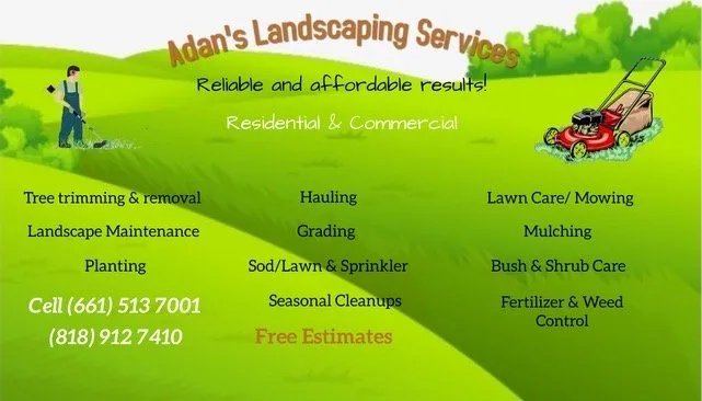 Affordable yard cleanup service in Santa Clarita, CA by Adan’s Landscaping Services