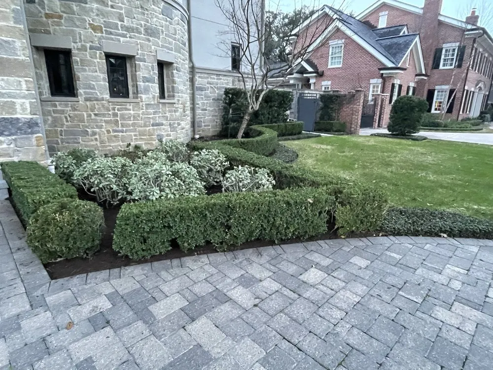 Expert lawn mowing service for outdoor upgrades in Houston, TX by Adans Lawn Care