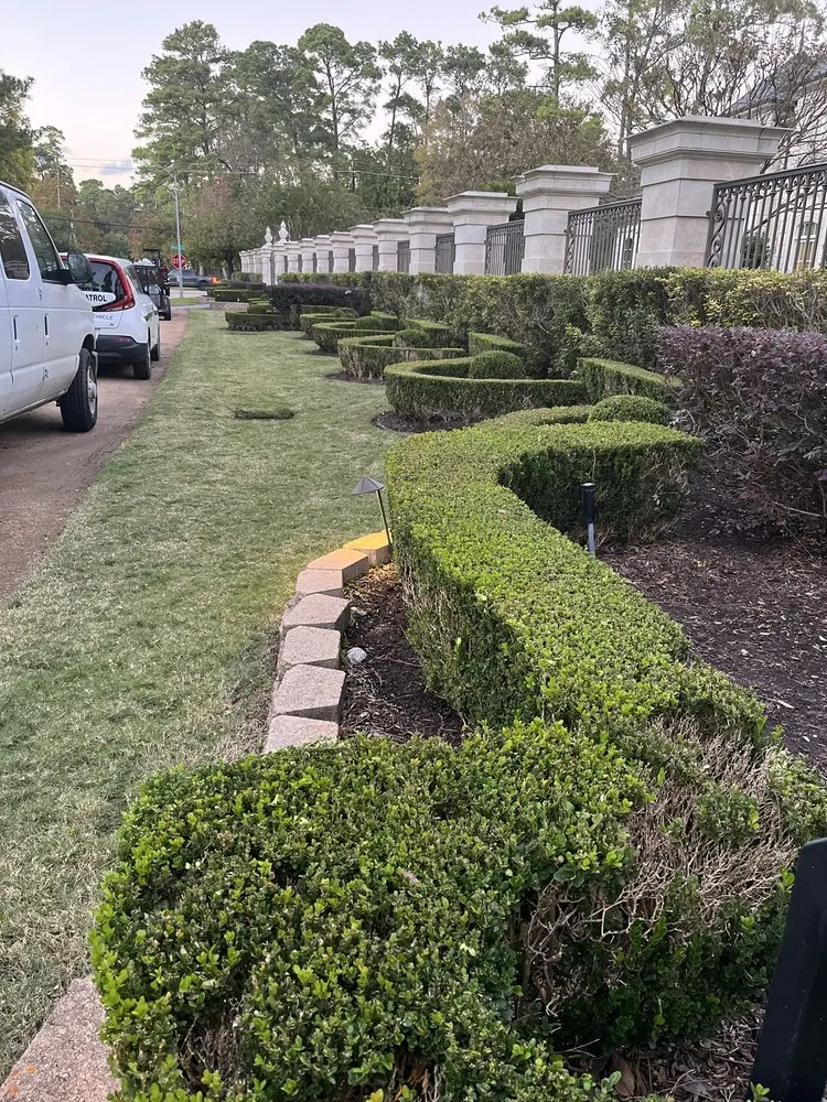 Reliable landscape design for year-round maintenance across Houston, TX - Adans Lawn Care