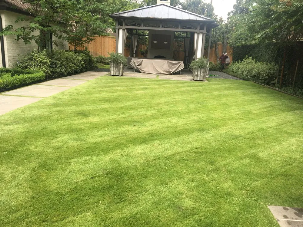 Professional lawn care service in Houston, TX by Adans Lawn Care