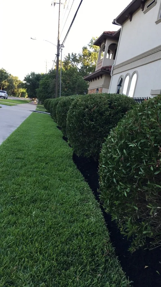 Top-rated residential landscaping experts serving Houston, TX - Adans Lawn Care