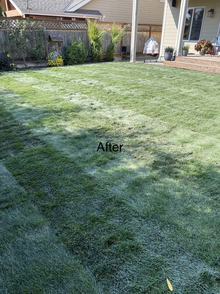 Custom outdoor landscaping in Snohomish, WA by Adan’s Professional Landscaping And Farming Service