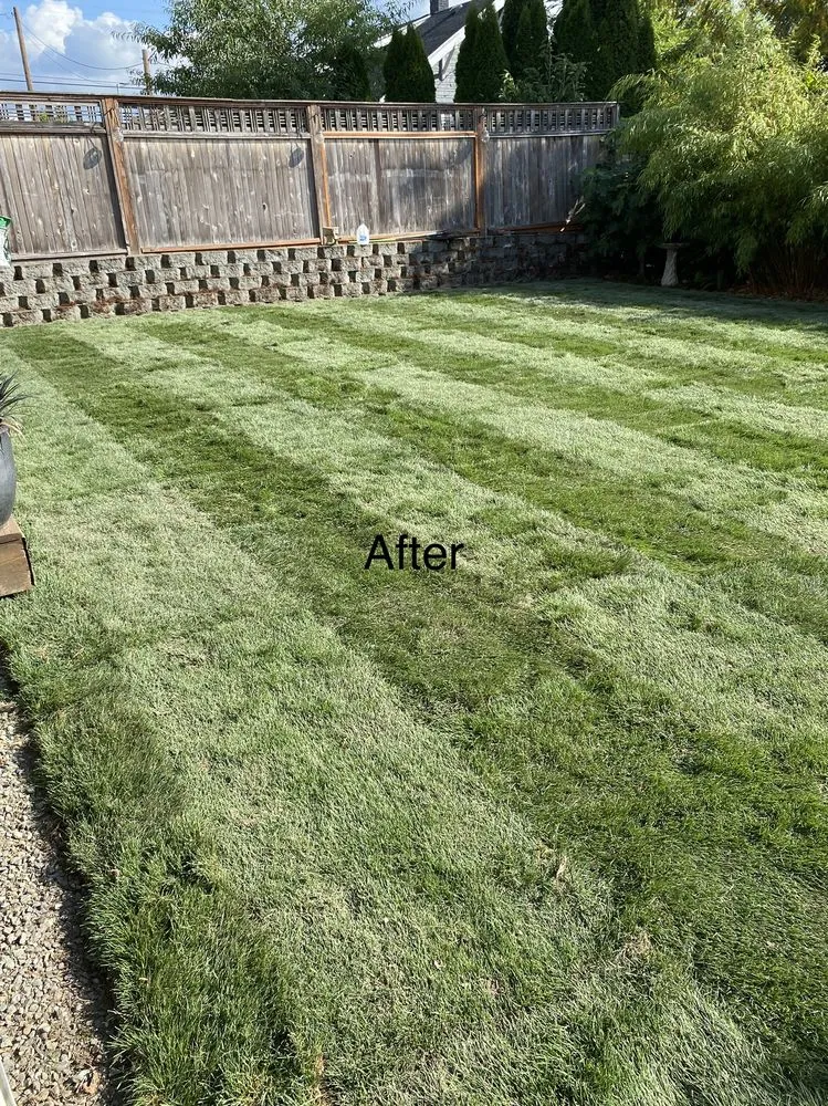 Trusted outdoor landscaping experts serving Snohomish, WA - Adan’s Professional Landscaping And Farming Service