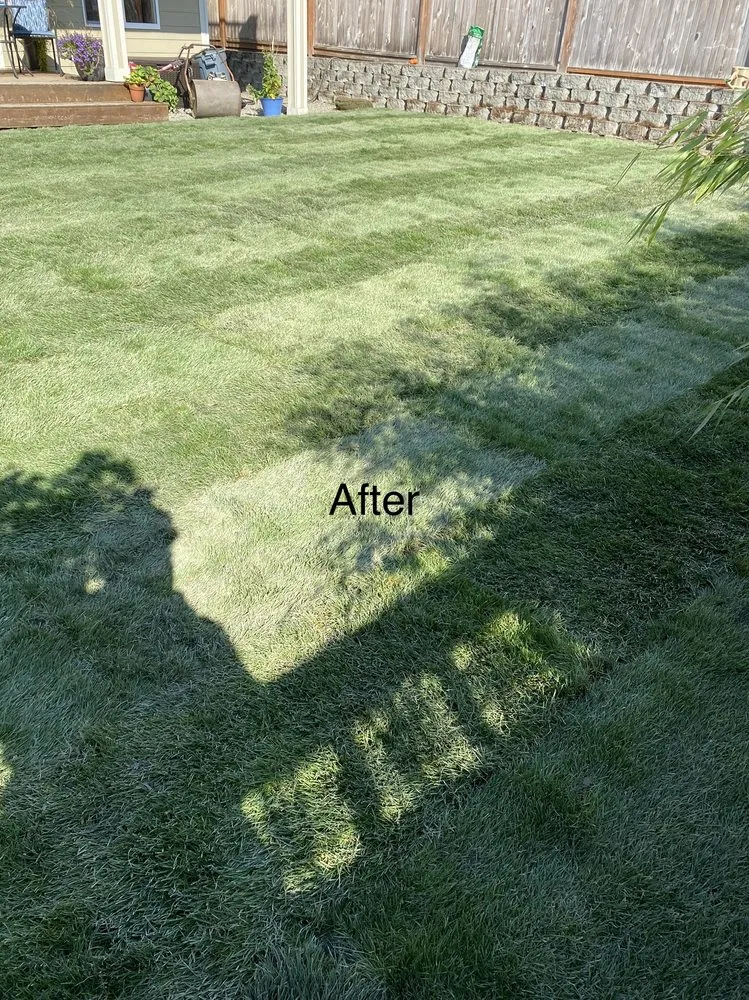 Expert landscape installation for year-round maintenance in Snohomish, WA by Adan’s Professional Landscaping And Farming Service