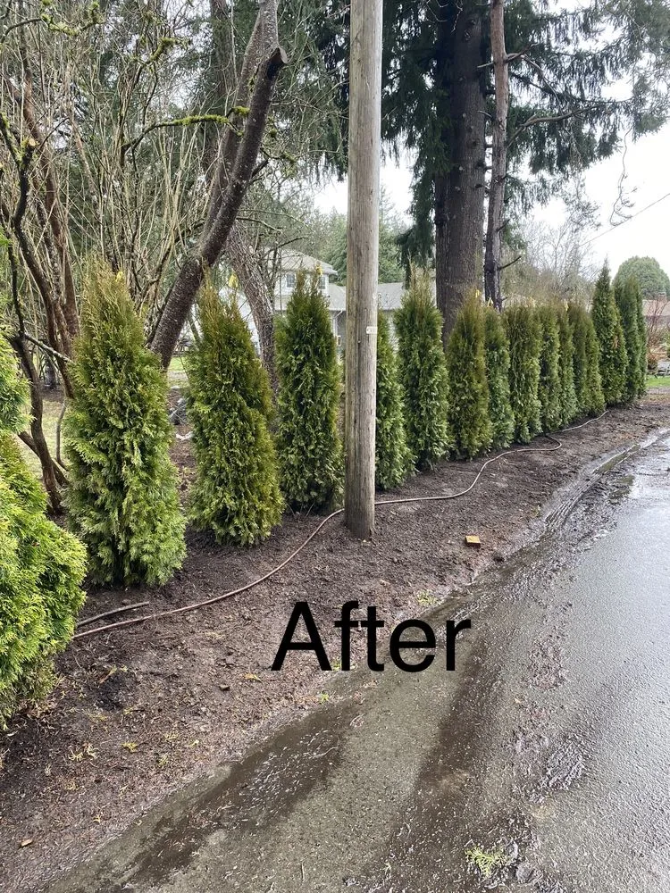 Expert outdoor landscaping for outdoor upgrades across Snohomish, WA - Adan’s Professional Landscaping And Farming Service