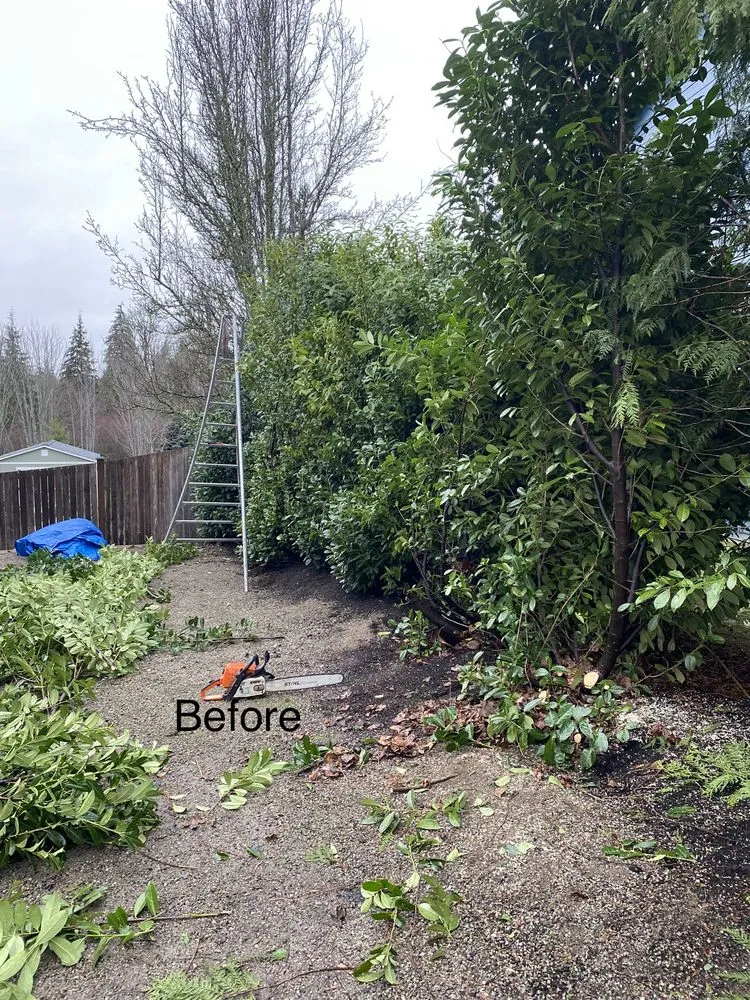Affordable yard cleanup service for beautiful yards in Snohomish, WA by Adan’s Professional Landscaping And Farming Service