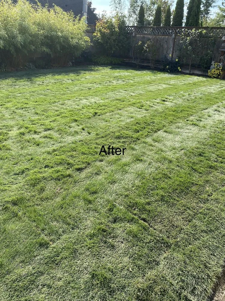 Top-rated lawn care service experts serving Snohomish, WA - Adan’s Professional Landscaping And Farming Service