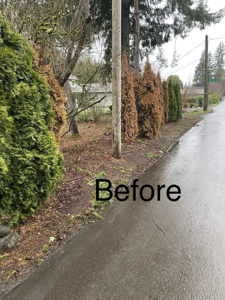 Local garden landscaping in Snohomish, WA by Adan’s Professional Landscaping And Farming Service