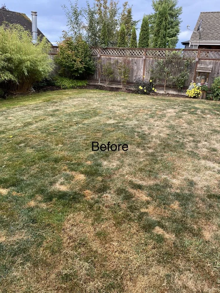 Reliable yard maintenance in Snohomish, WA - Adan’s Professional Landscaping And Farming Service