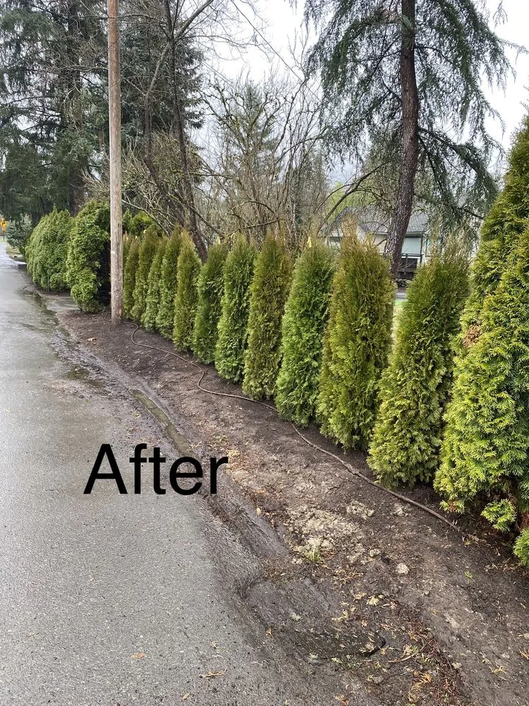 Affordable lawn mowing service for residential properties across Snohomish, WA - Adan’s Professional Landscaping And Farming Service