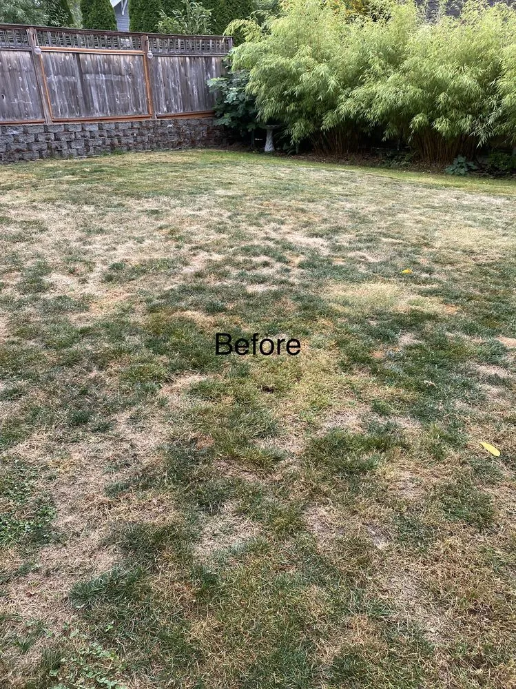 Trusted landscaping services near you across Snohomish, WA - Adan’s Professional Landscaping And Farming Service