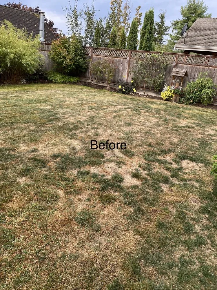 Local lawn mowing service in Snohomish, WA - Adan’s Professional Landscaping And Farming Service