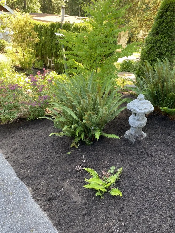 Affordable yard cleanup service experts serving Snohomish, WA - Adan’s Professional Landscaping And Farming Service