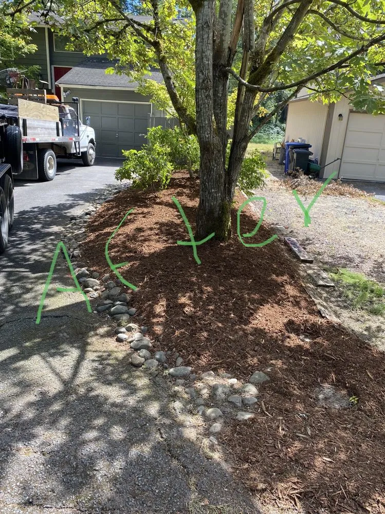 Reliable yard maintenance experts serving Snohomish, WA - Adan’s Professional Landscaping And Farming Service