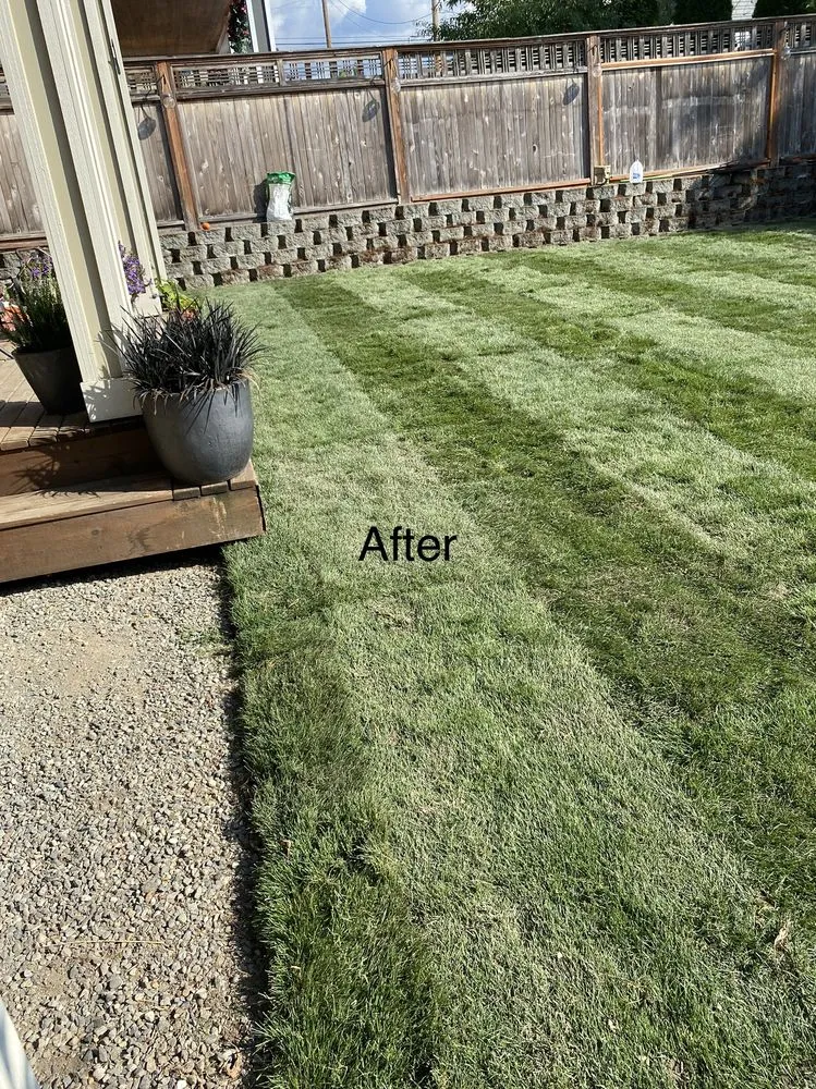 Reliable lawn mowing service for outdoor upgrades in Snohomish, WA by Adan’s Professional Landscaping And Farming Service