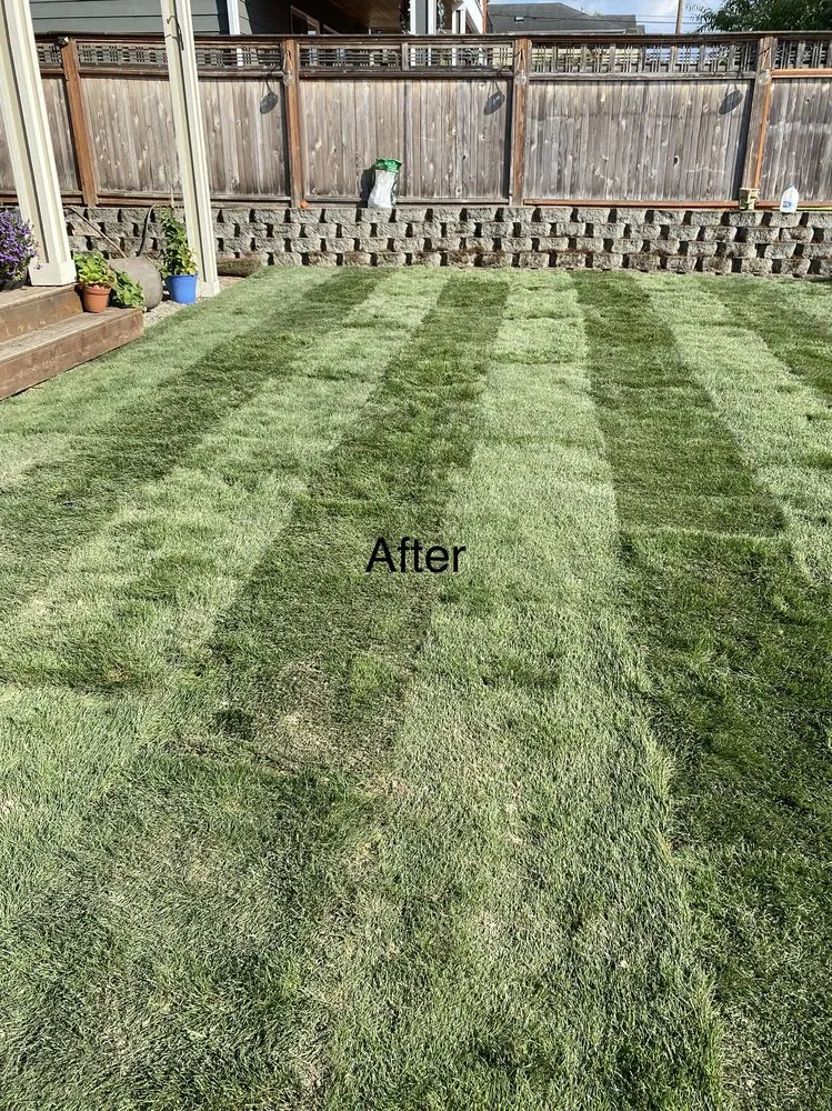 Top-rated landscape installation in Snohomish, WA - Adan’s Professional Landscaping And Farming Service