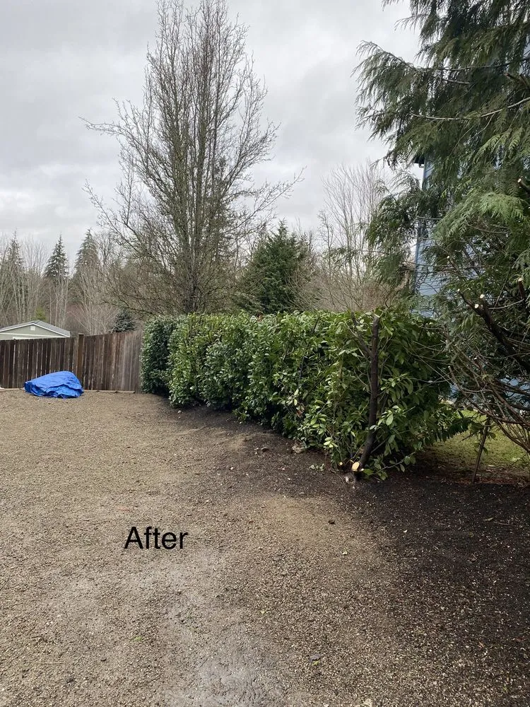 Professional landscape design in Snohomish, WA - Adan’s Professional Landscaping And Farming Service