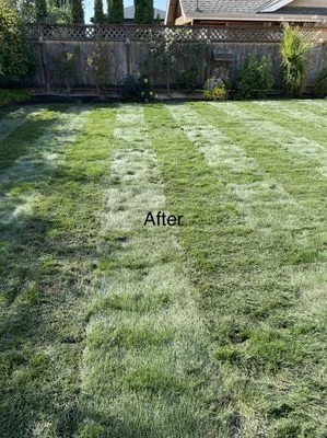 Adan’s Professional Landscaping And Farming Service Logo