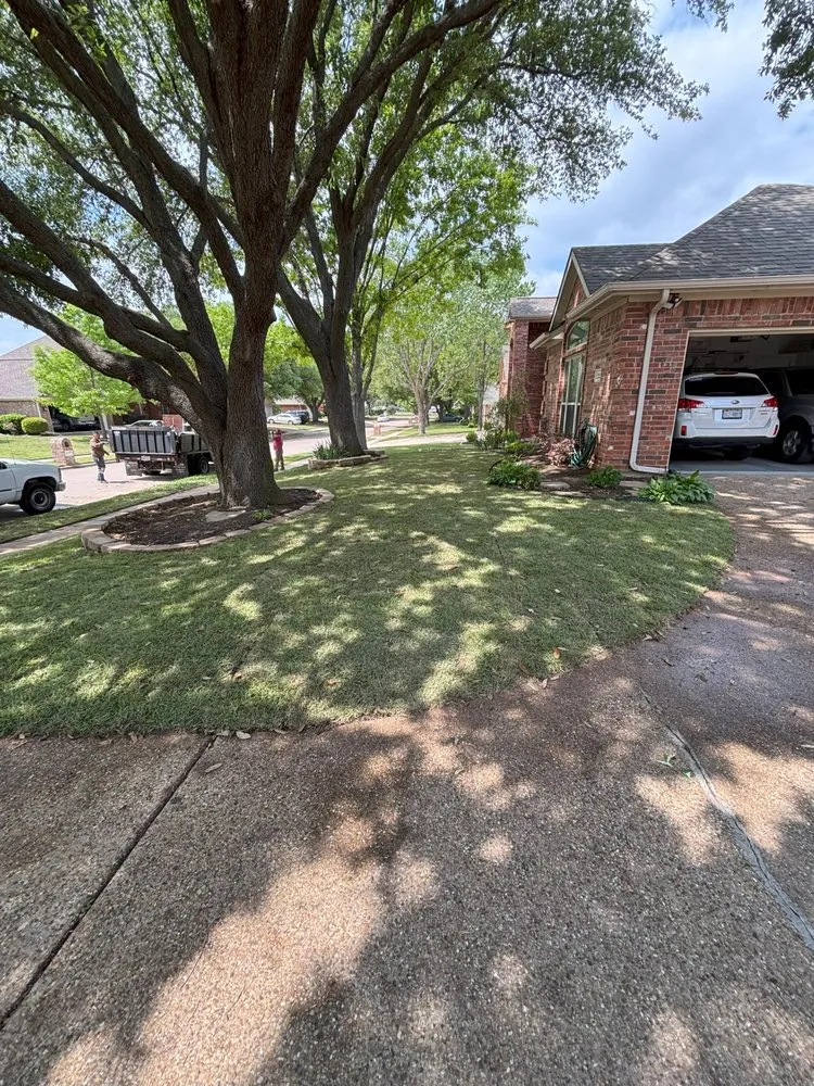 Expert garden landscaping near you across Carrollton, TX - Adans Tree & Landscape