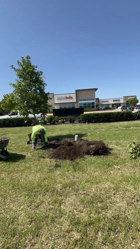Professional landscape installation in Carrollton, TX by Adans Tree & Landscape