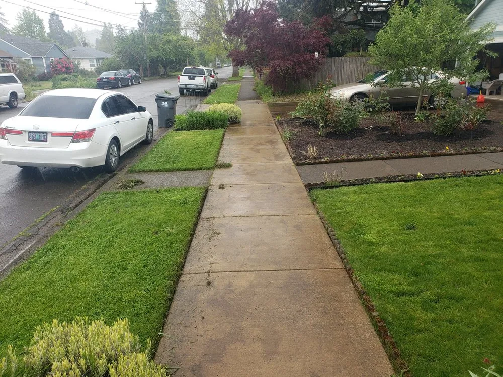 Top-rated lawn mowing service for beautiful yards in Springfield, OR by Adans Yard Services