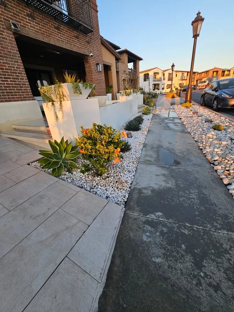 Custom yard maintenance in Laguna Niguel, CA by Adara Landscape