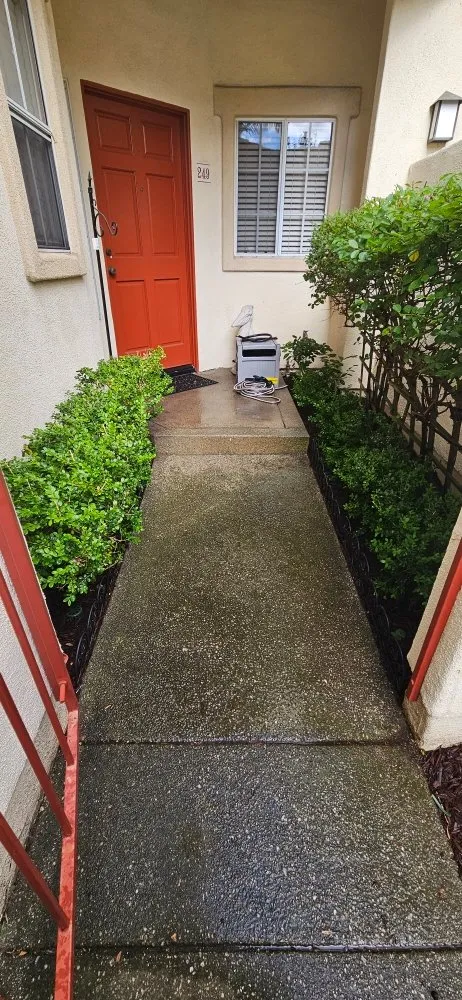 Affordable outdoor landscaping in Laguna Niguel, CA by Adara Landscape