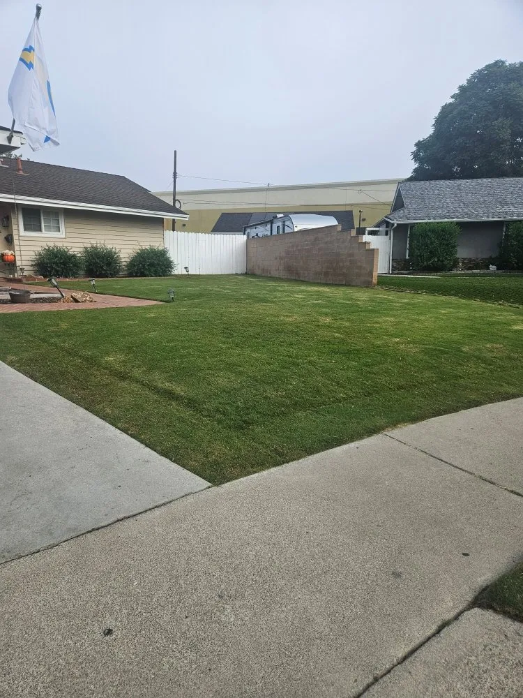 Affordable yard cleanup service for residential properties in Laguna Niguel, CA by Adara Landscape