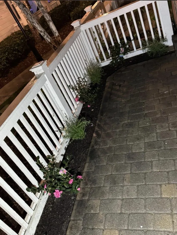 Reliable lawn care service experts serving Laguna Niguel, CA - Adara Landscape