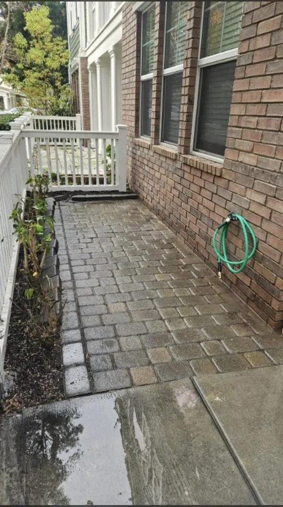 Top-rated landscape installation for outdoor upgrades in Laguna Niguel, CA by Adara Landscape