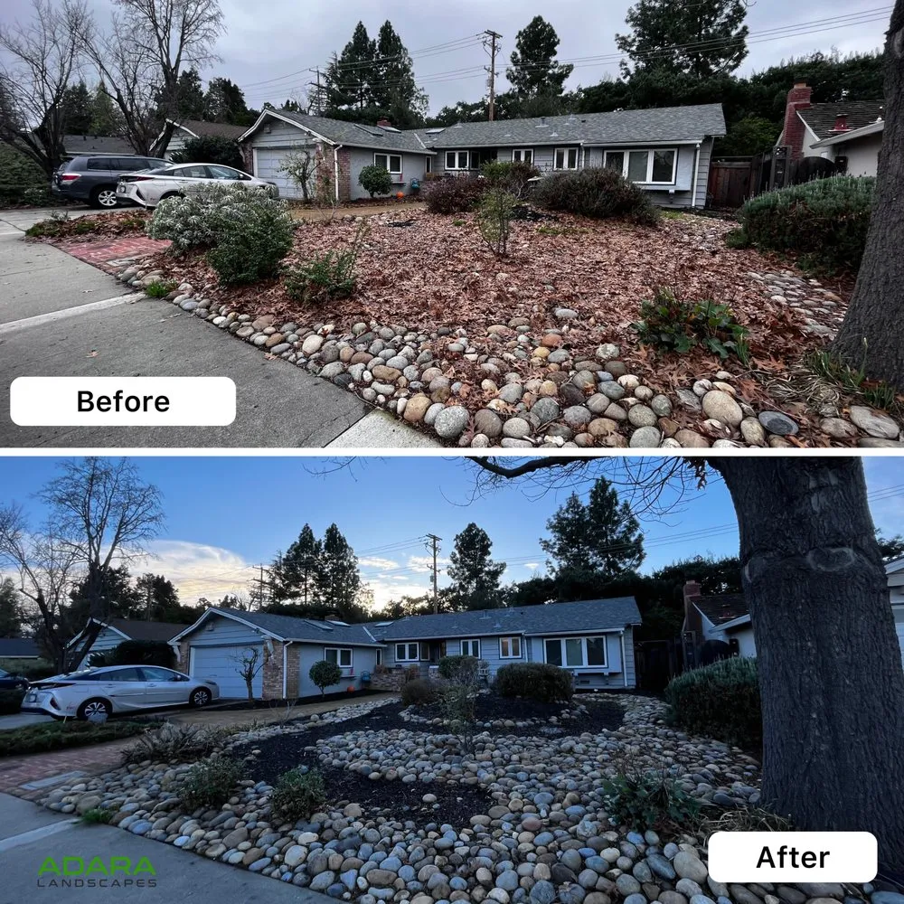 Top-rated yard maintenance for year-round maintenance across Sunnyvale, CA - Adara Landscapes