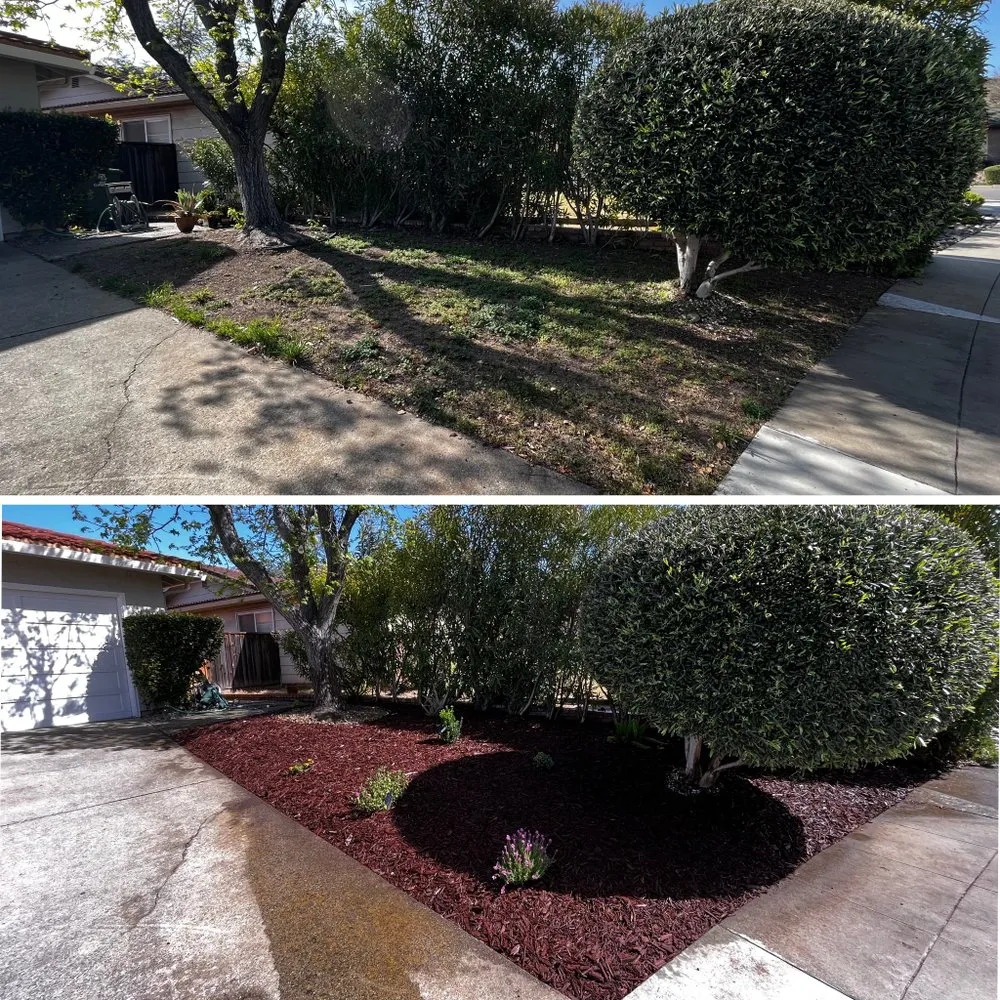 Affordable lawn care service in Sunnyvale, CA - Adara Landscapes