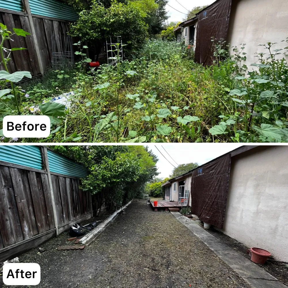 Custom landscape design for year-round maintenance across Sunnyvale, CA - Adara Landscapes