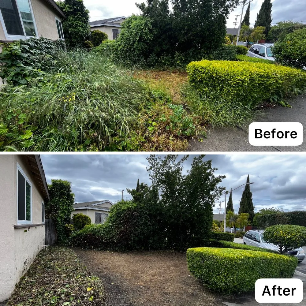 Custom landscape design for beautiful yards across Sunnyvale, CA - Adara Landscapes