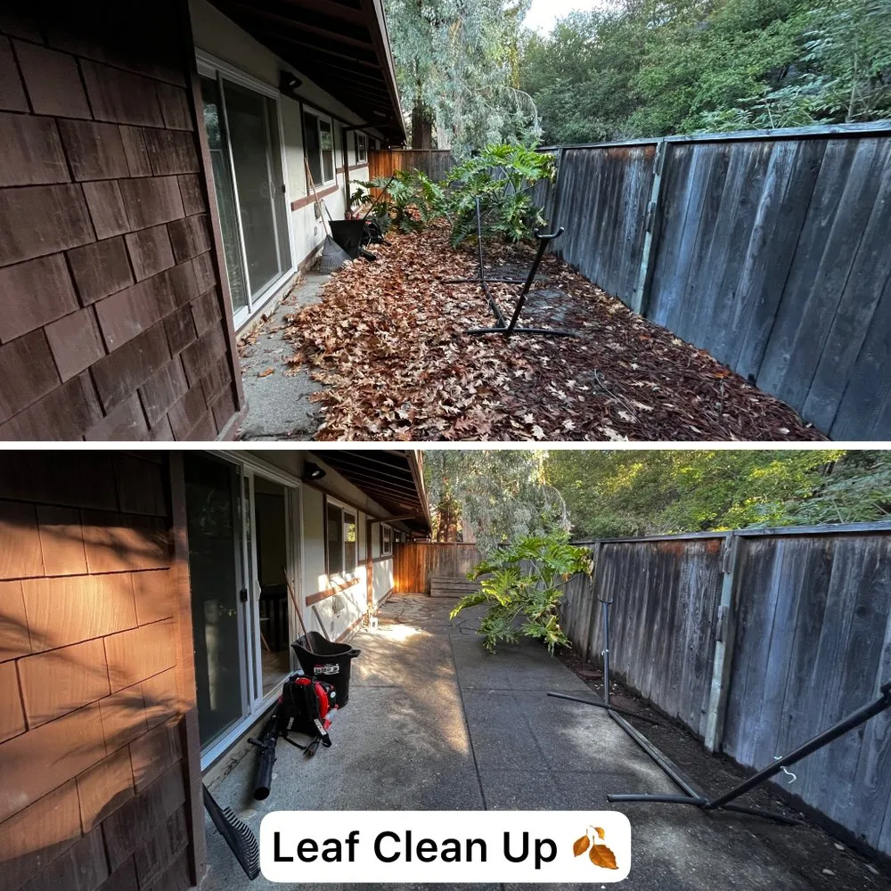 Top-rated outdoor landscaping in Sunnyvale, CA by Adara Landscapes