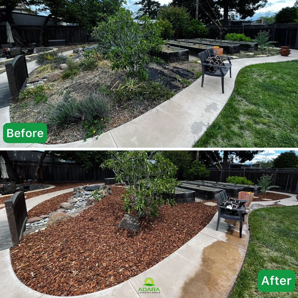 Reliable yard cleanup service experts serving Sunnyvale, CA - Adara Landscapes