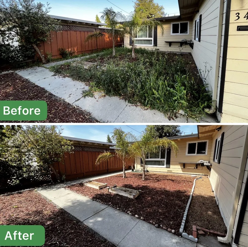 Affordable landscaping services for homes across Sunnyvale, CA - Adara Landscapes